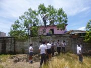 A picture of children collecting fruit from a tree