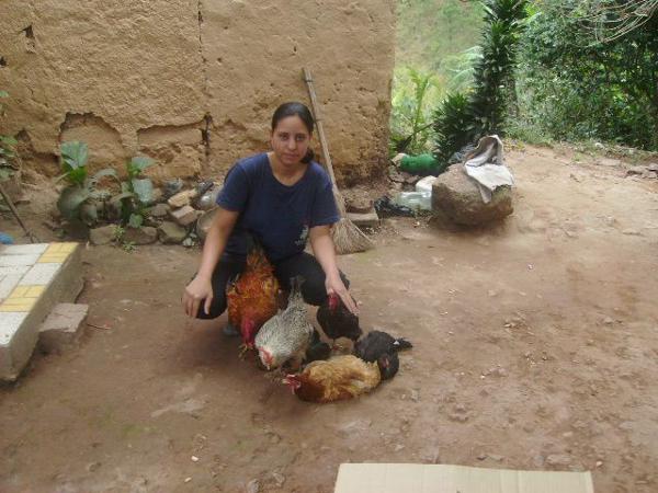 Another family receives a gift of hens